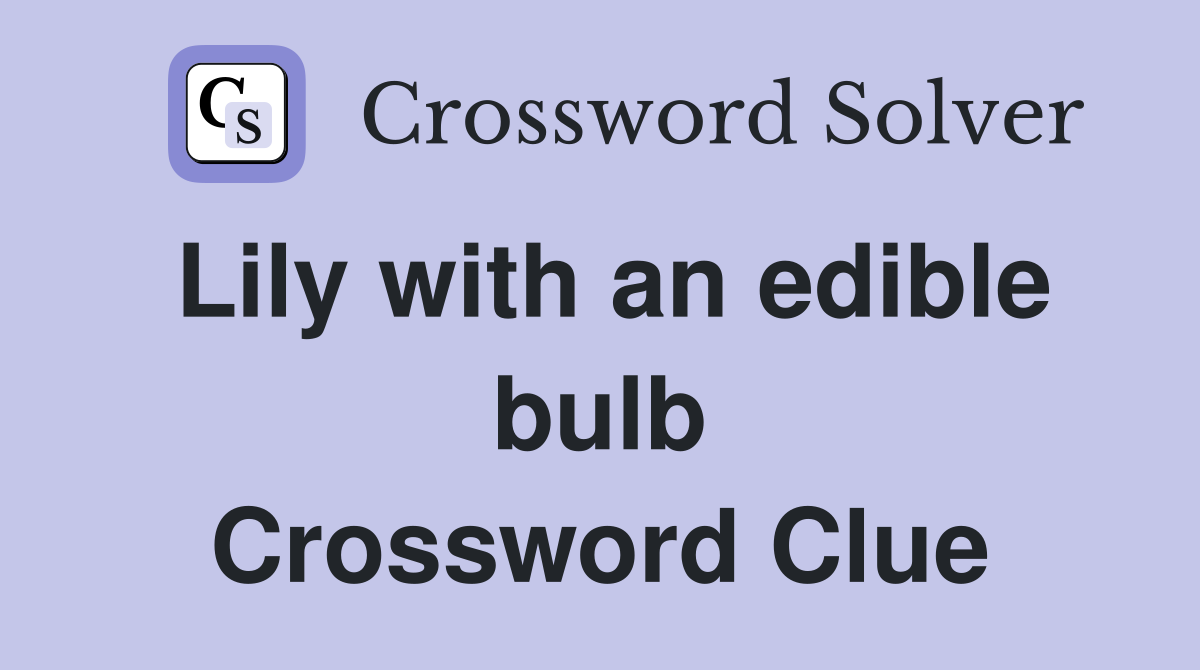 Lily with an edible bulb Crossword Clue