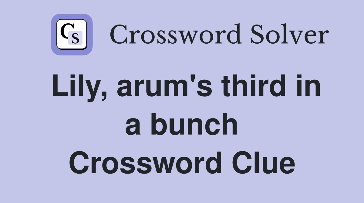 Lily, arum's third in a bunch Crossword Clue