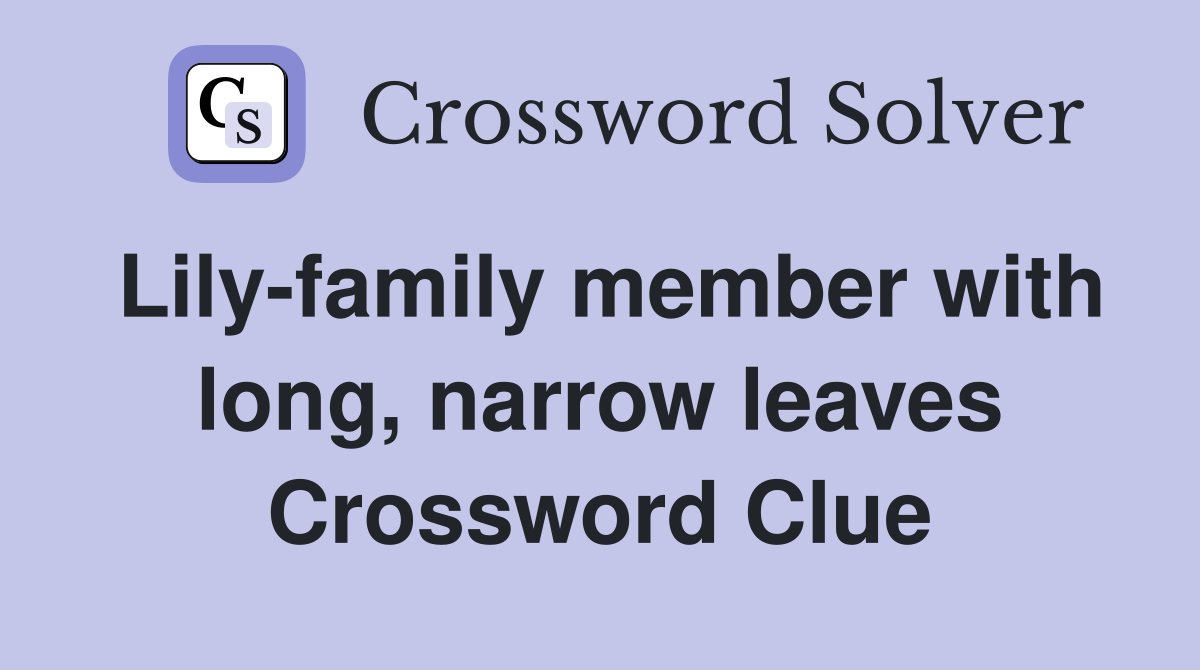 Lily-family member with long, narrow leaves Crossword Clue