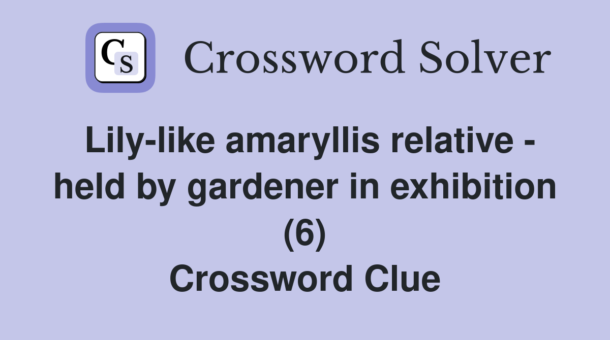 Lily-like amaryllis relative - held by gardener in exhibition (6) Crossword Clue