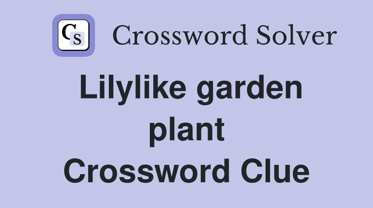 Lilylike garden plant Crossword Clue