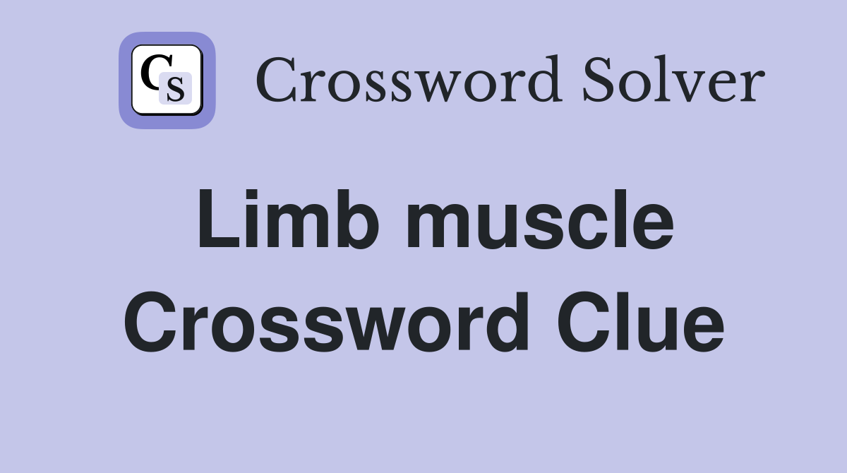 Limb muscle Crossword Clue