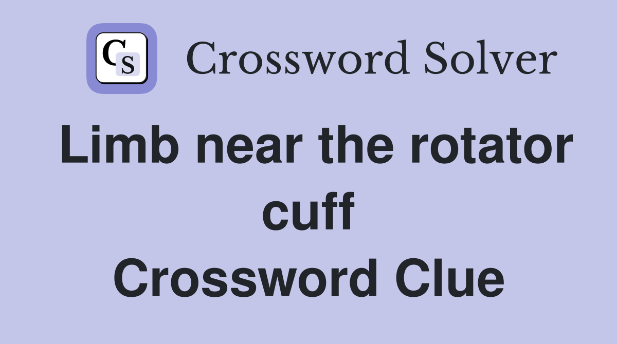 Limb near the rotator cuff Crossword Clue