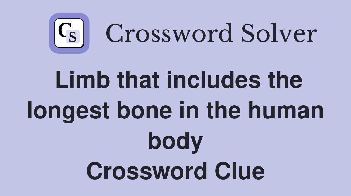 Limb that includes the longest bone in the human body Crossword Clue