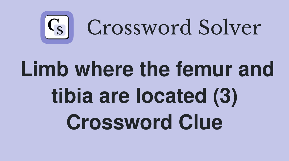 Limb where the femur and tibia are located (3) Crossword Clue