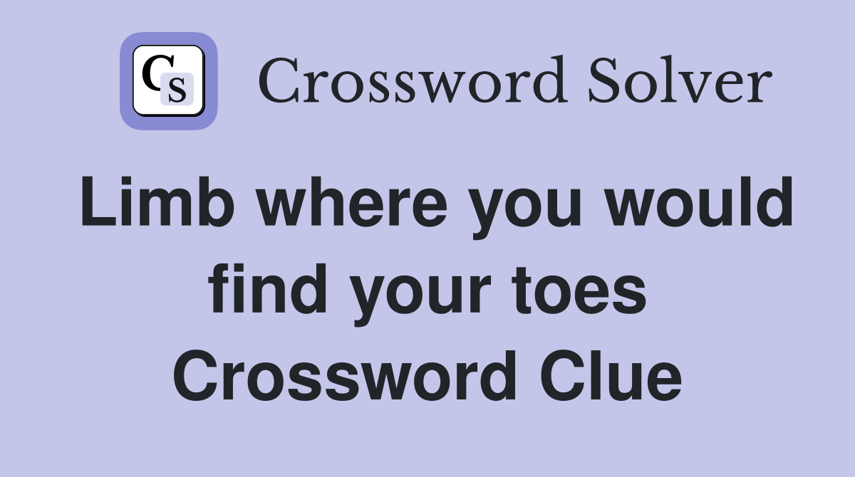 Limb where you would find your toes Crossword Clue