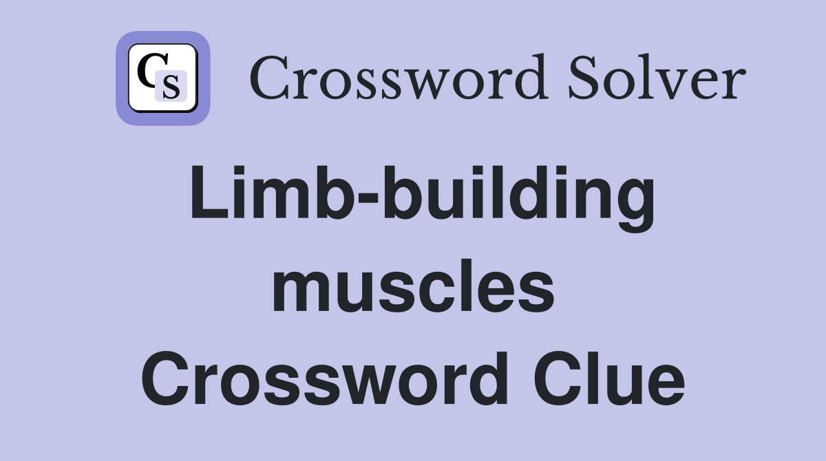 Limb-building muscles Crossword Clue