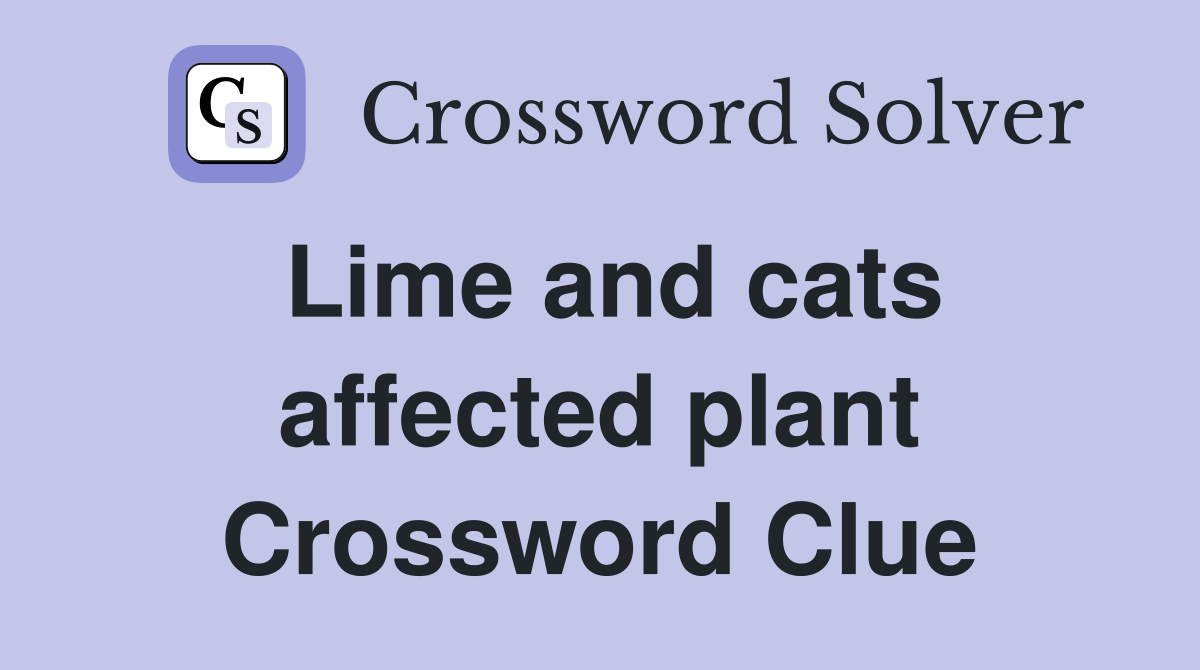 Lime and cats affected plant Crossword Clue