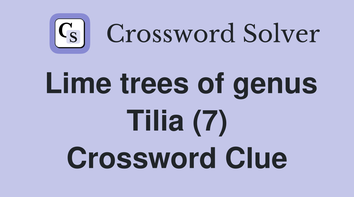 Lime trees of genus Tilia (7) Crossword Clue