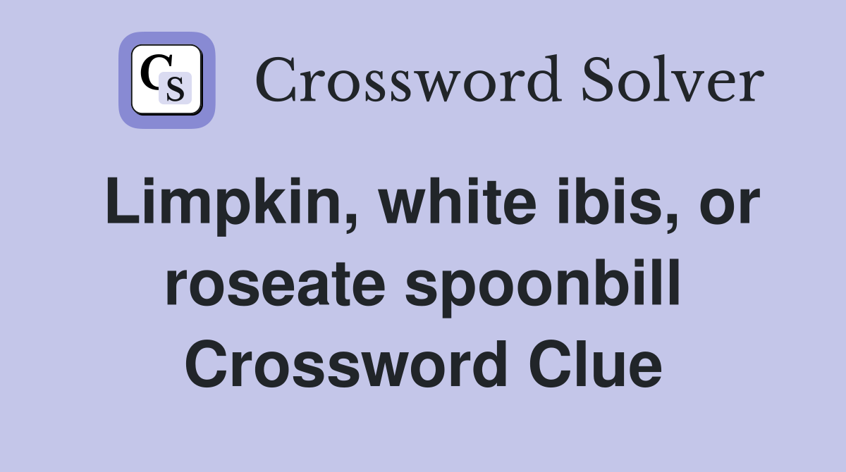 Limpkin, white ibis, or roseate spoonbill Crossword Clue