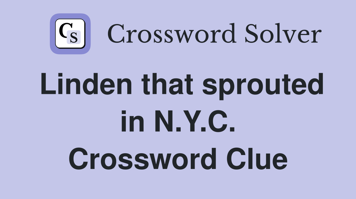 Linden that sprouted in N.Y.C. Crossword Clue