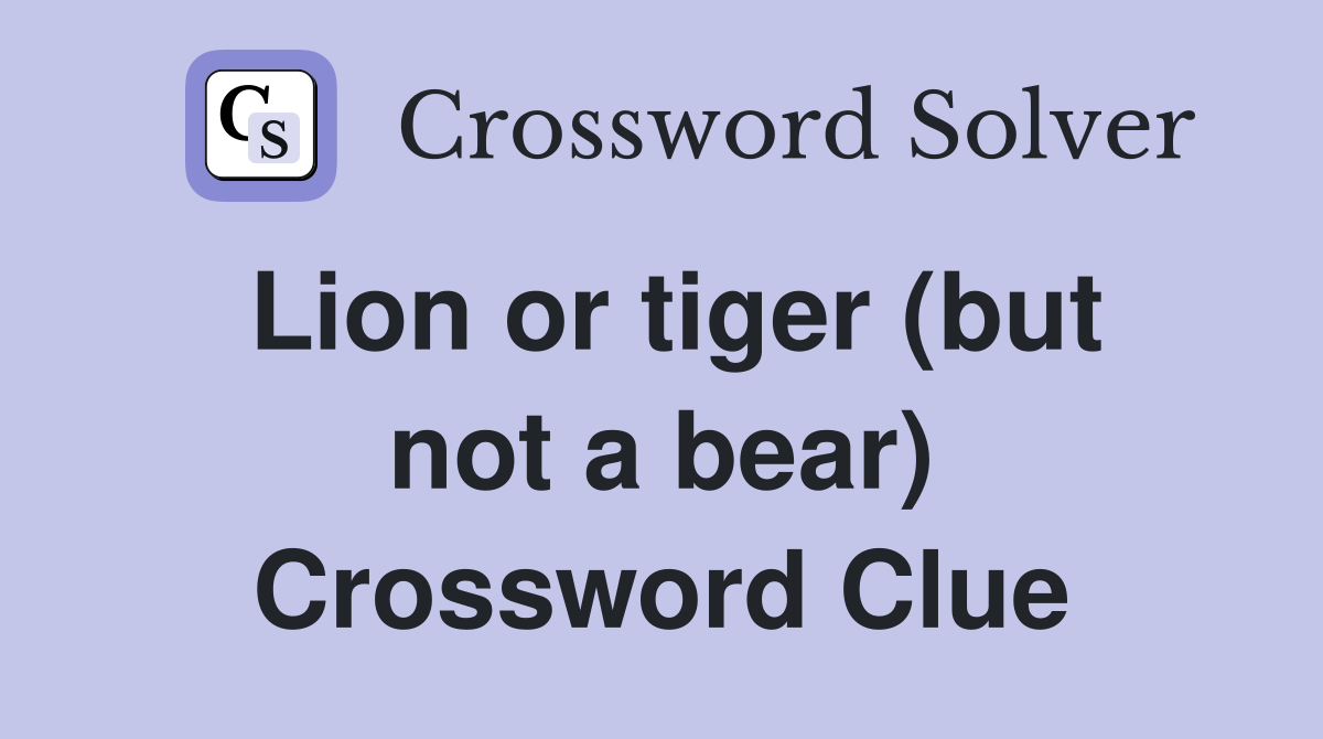 Lion or tiger (but not a bear) Crossword Clue