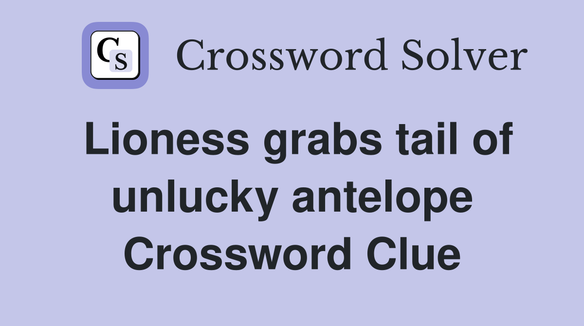 Lioness grabs tail of unlucky antelope Crossword Clue