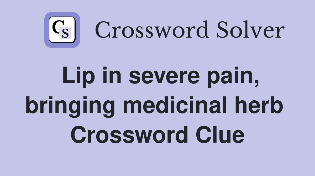 Lip in severe pain, bringing medicinal herb  Crossword Clue