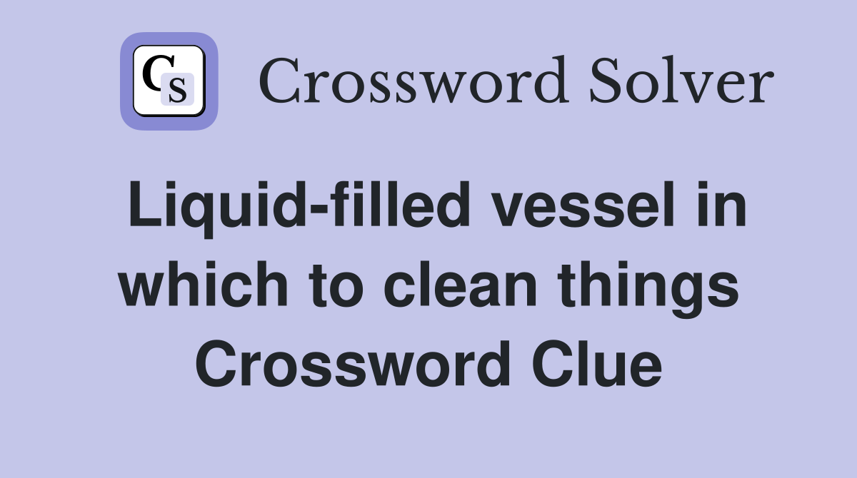 Liquid-filled vessel in which to clean things Crossword Clue