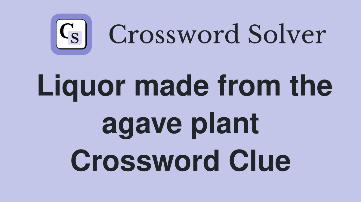 Liquor made from the agave plant Crossword Clue