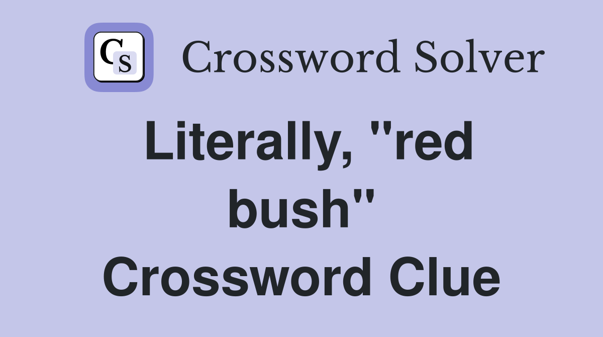 Literally, "red bush" Crossword Clue