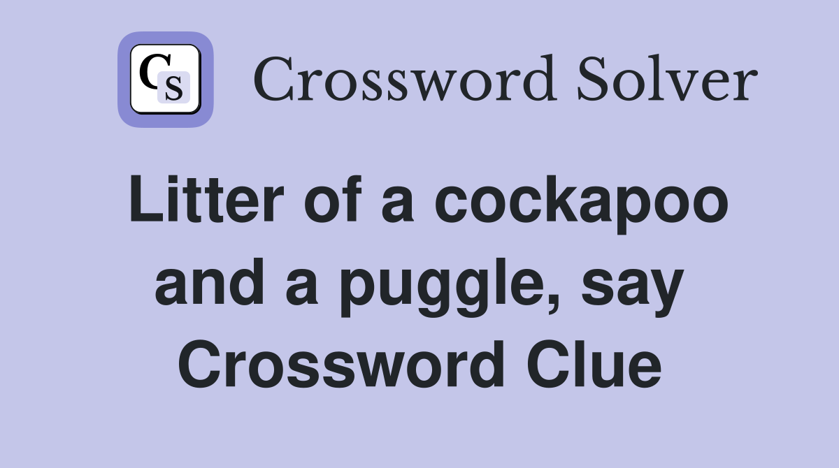 Litter of a cockapoo and a puggle, say Crossword Clue