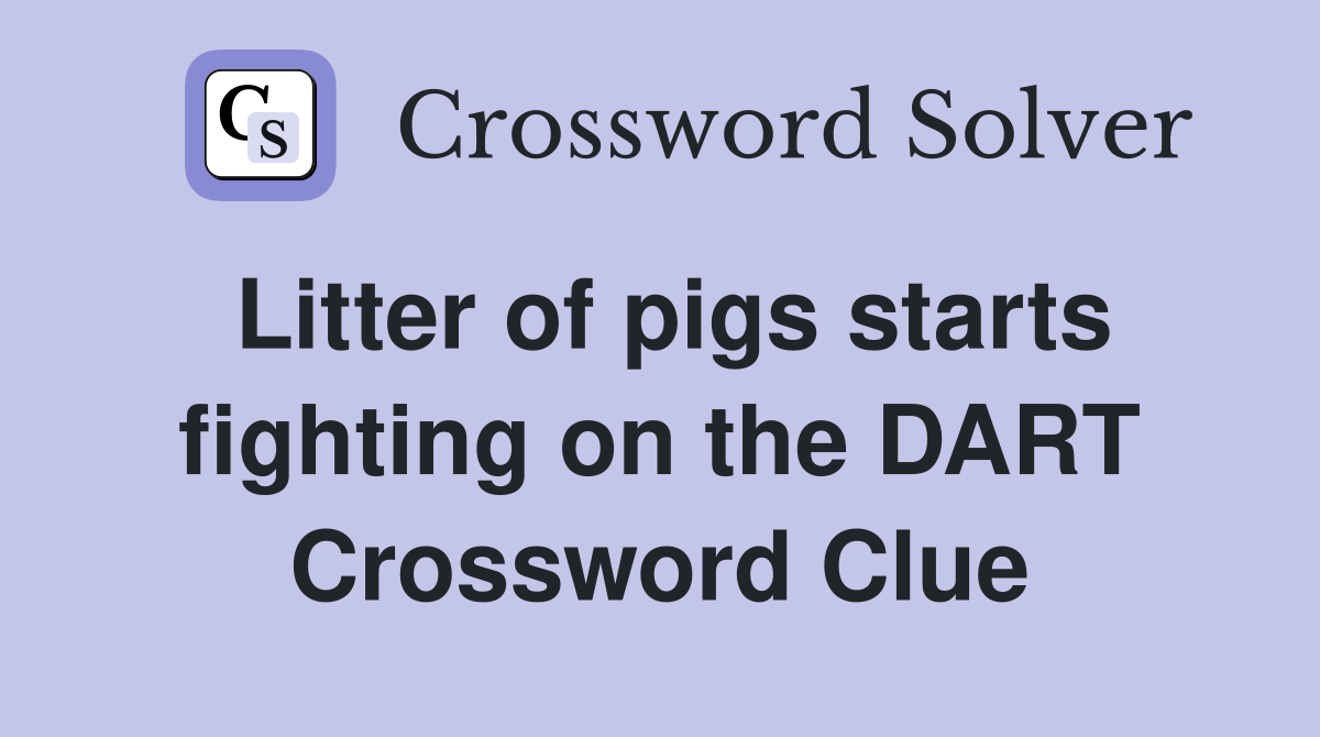 Litter of pigs starts fighting on the DART Crossword Clue