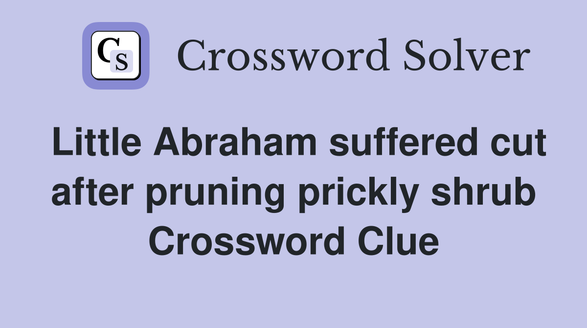 Little Abraham suffered cut after pruning prickly shrub Crossword Clue
