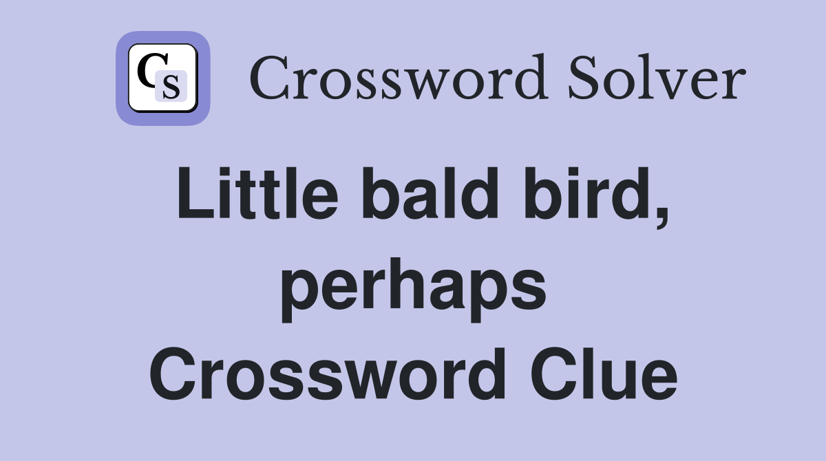 Little bald bird, perhaps Crossword Clue