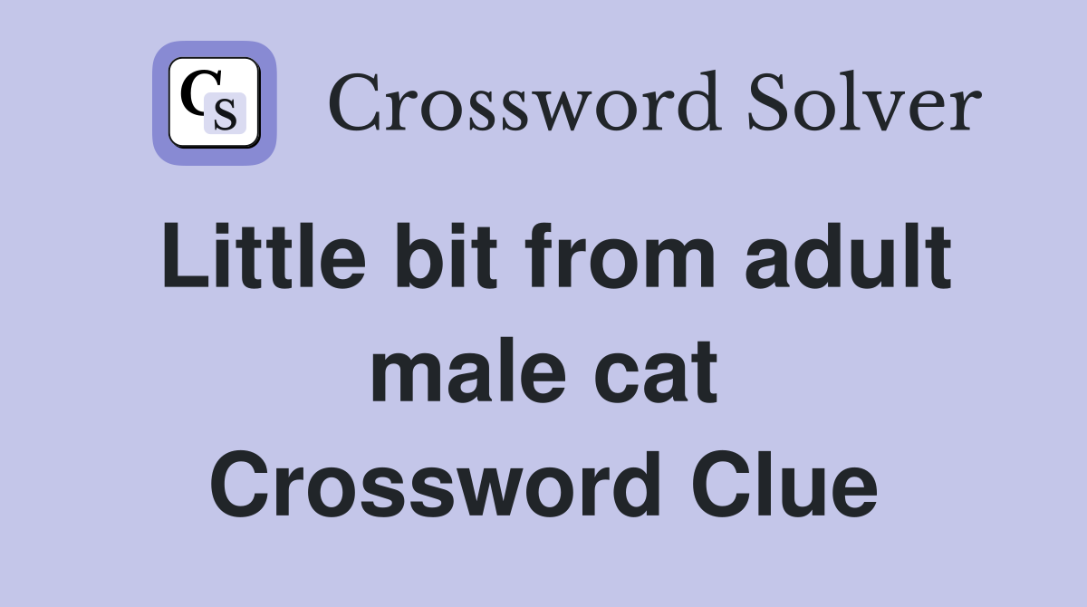 Little bit from adult male cat Crossword Clue