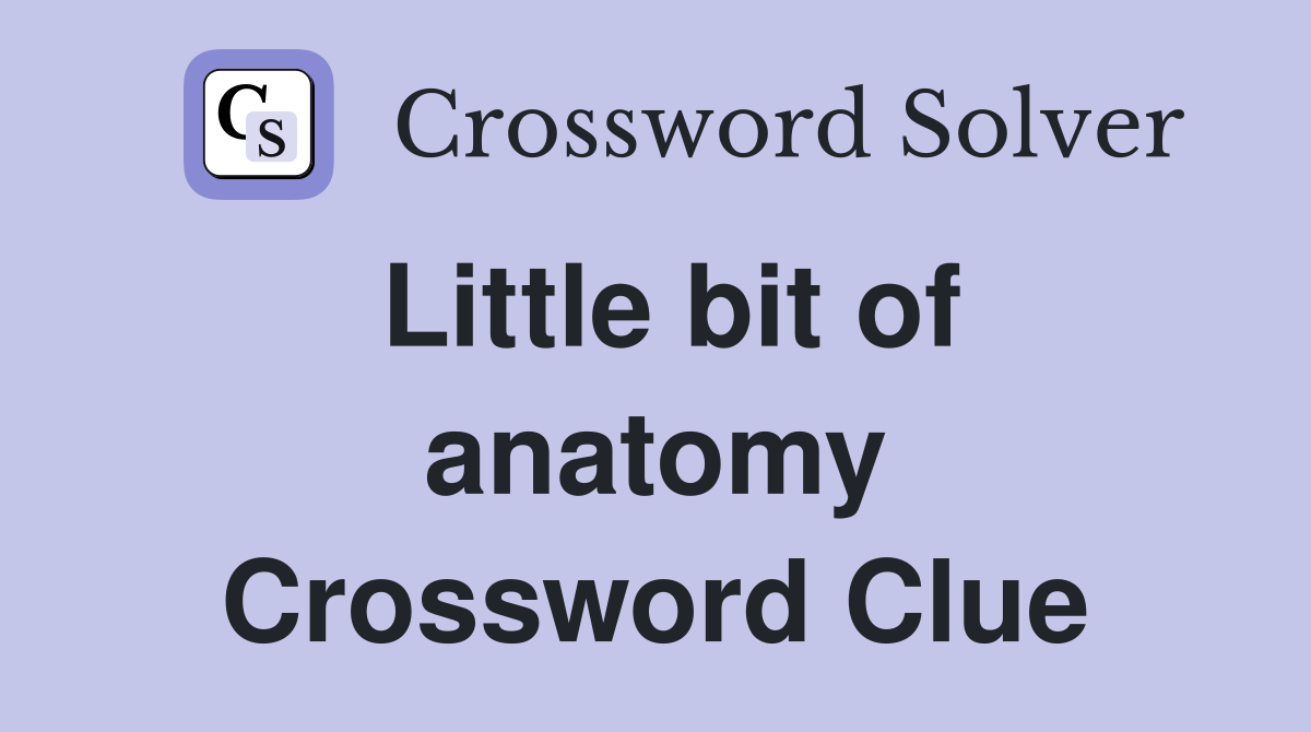 Little bit of anatomy Crossword Clue