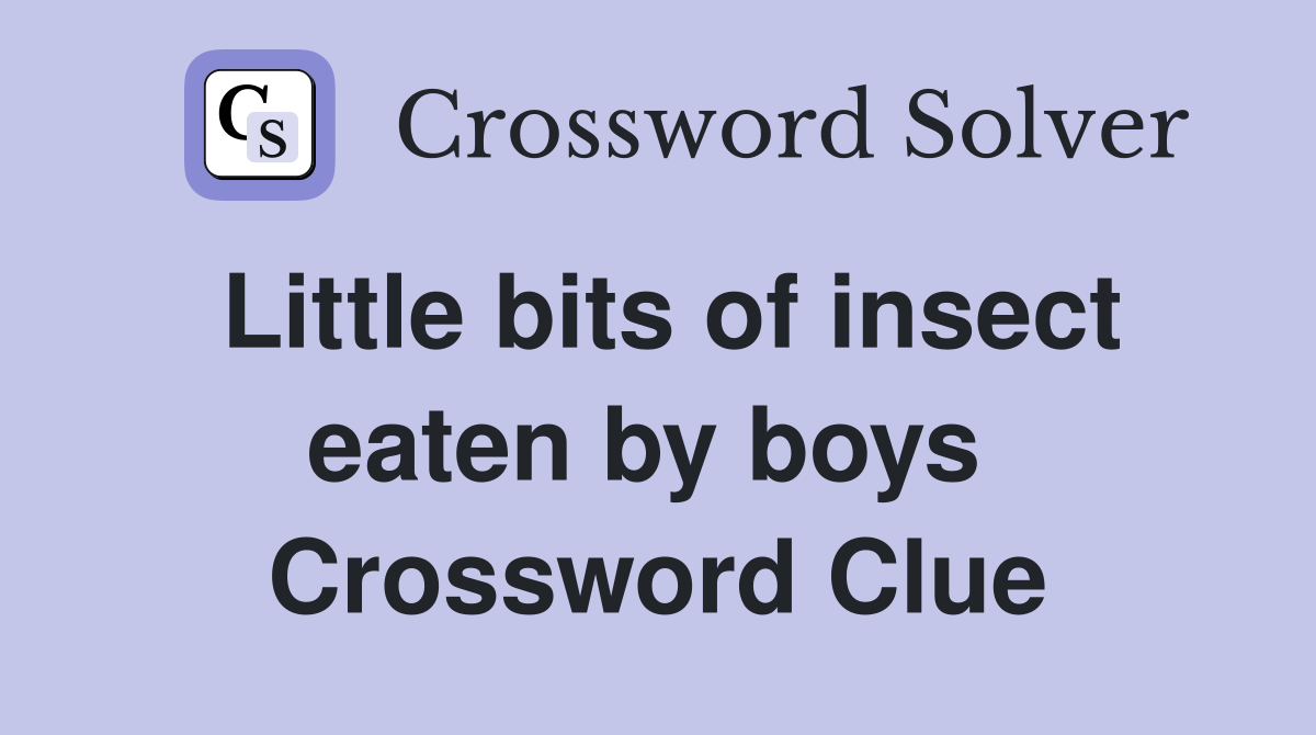 Little bits of insect eaten by boys  Crossword Clue