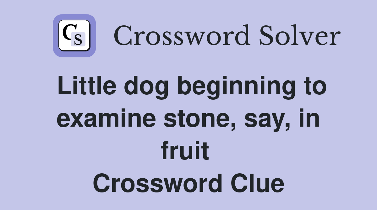 Little dog beginning to examine stone, say, in fruit  Crossword Clue