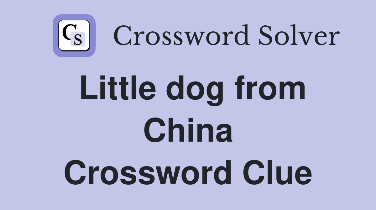 Little dog from China Crossword Clue