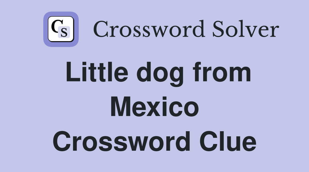 Little dog from Mexico Crossword Clue