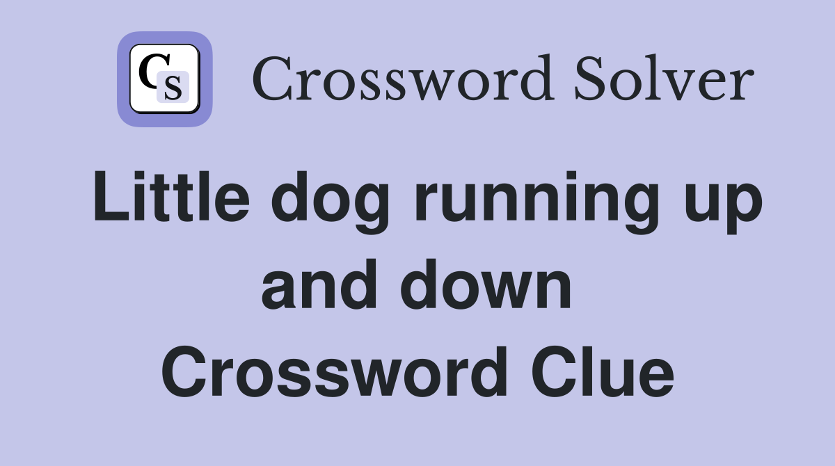 Little dog running up and down Crossword Clue