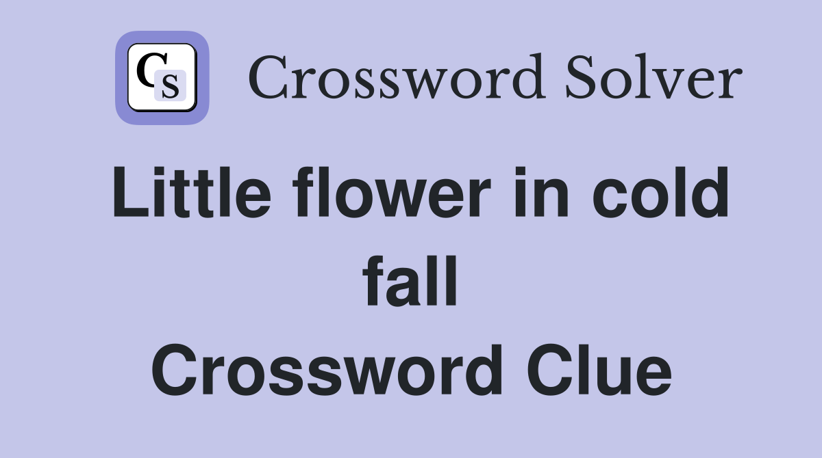 Little flower in cold fall Crossword Clue