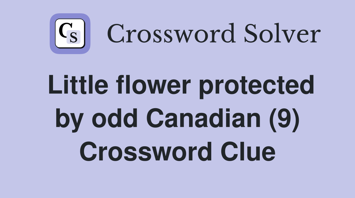 Little flower protected by odd Canadian (9) Crossword Clue