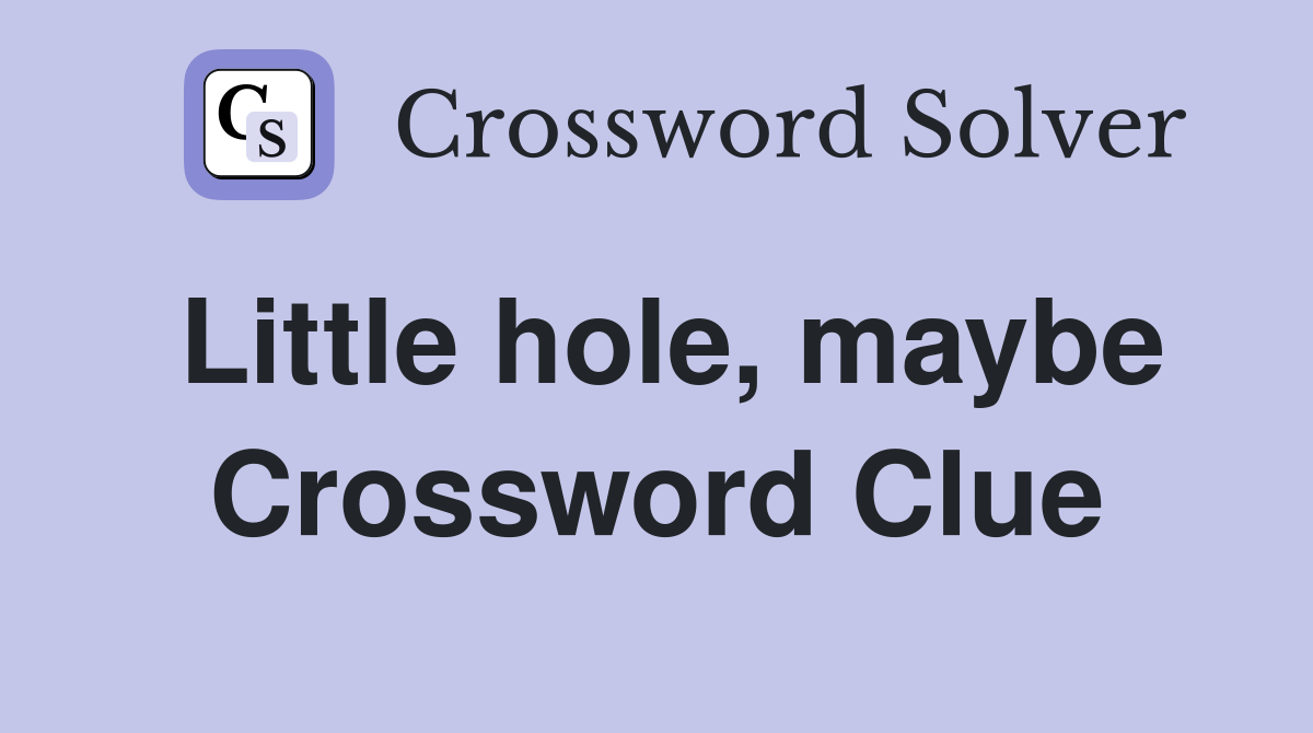 Little hole, maybe Crossword Clue