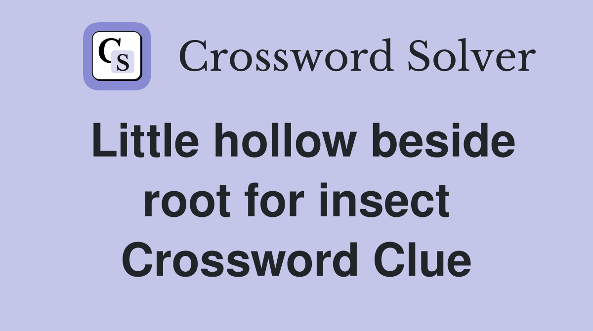 Little hollow beside root for insect Crossword Clue
