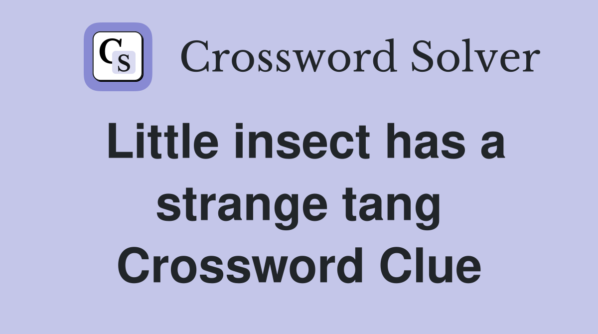 Little insect has a strange tang Crossword Clue