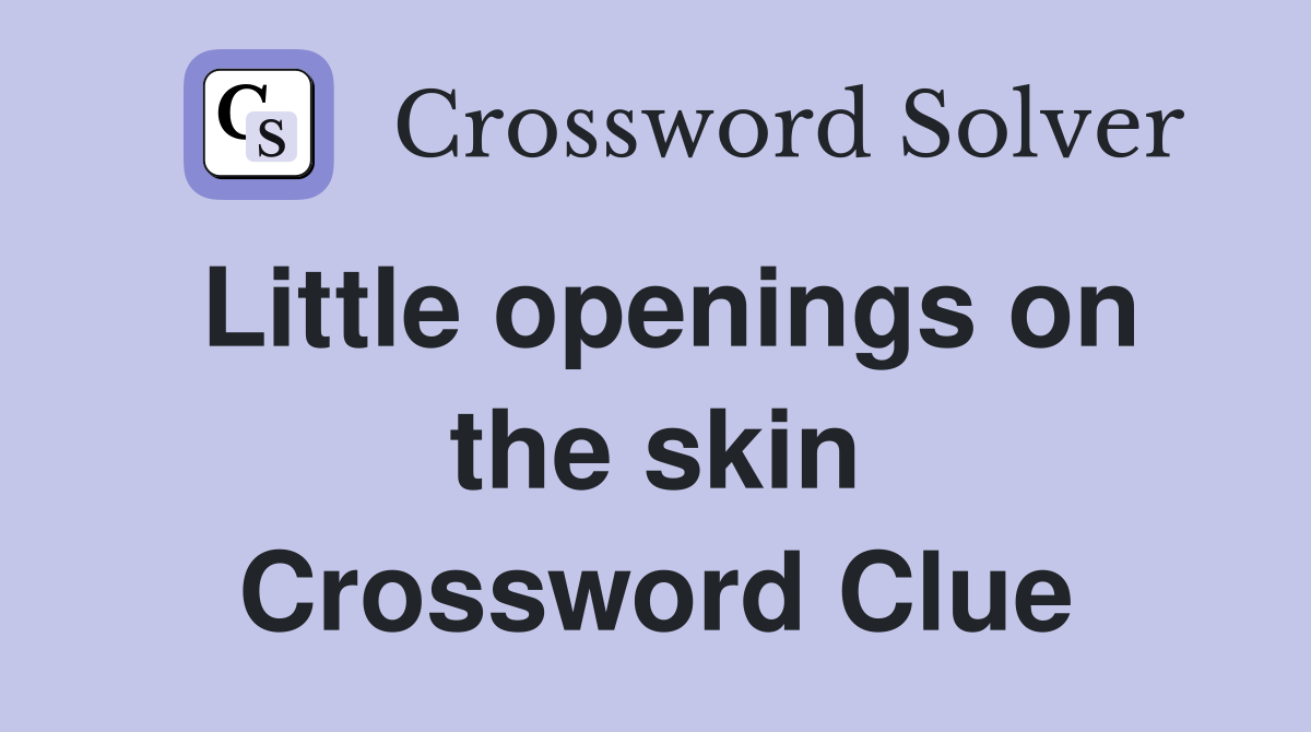 Little openings on the skin Crossword Clue