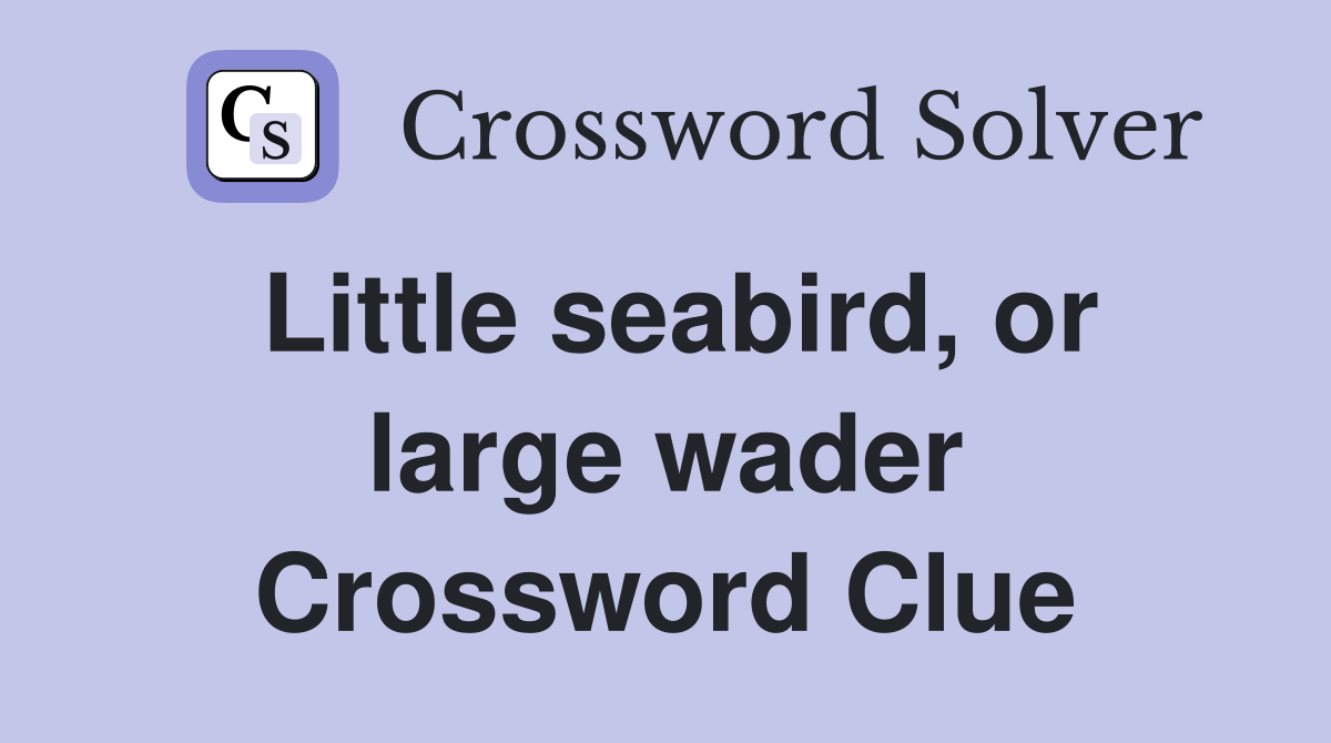 Little seabird, or large wader Crossword Clue