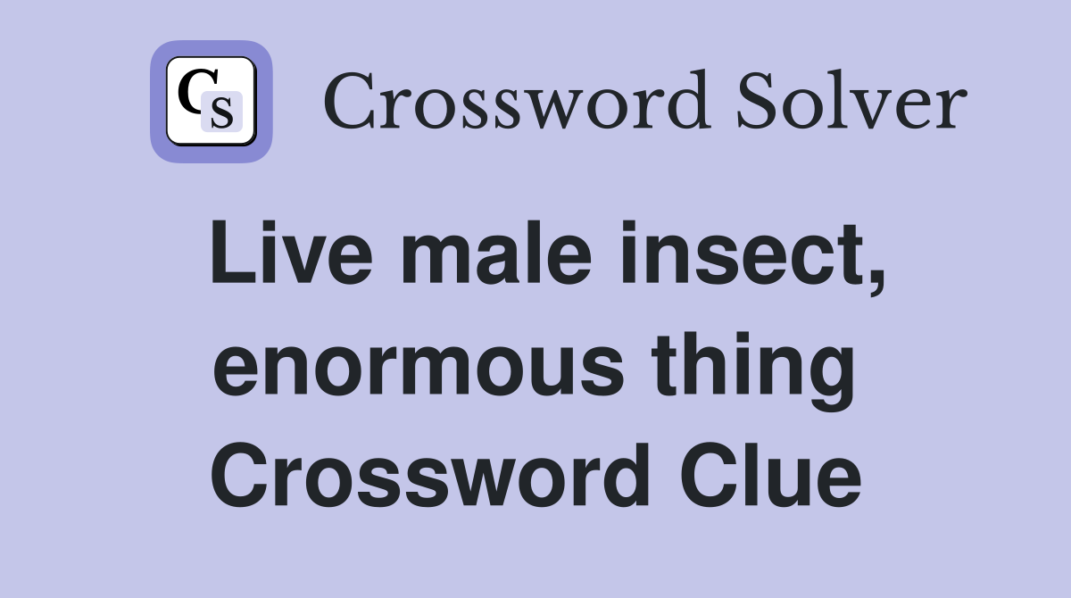 Live male insect, enormous thing Crossword Clue