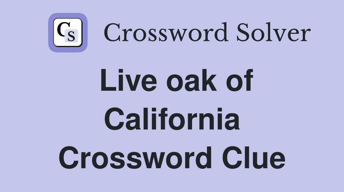 Live oak of California Crossword Clue