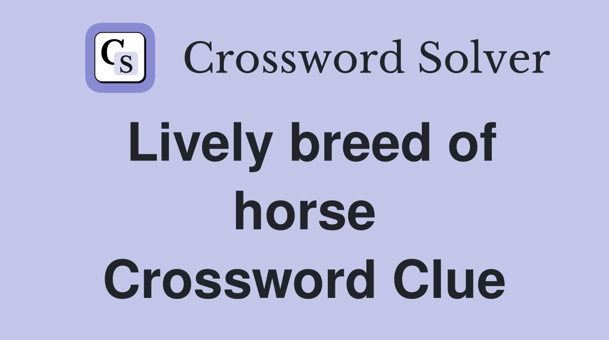 Lively breed of horse Crossword Clue