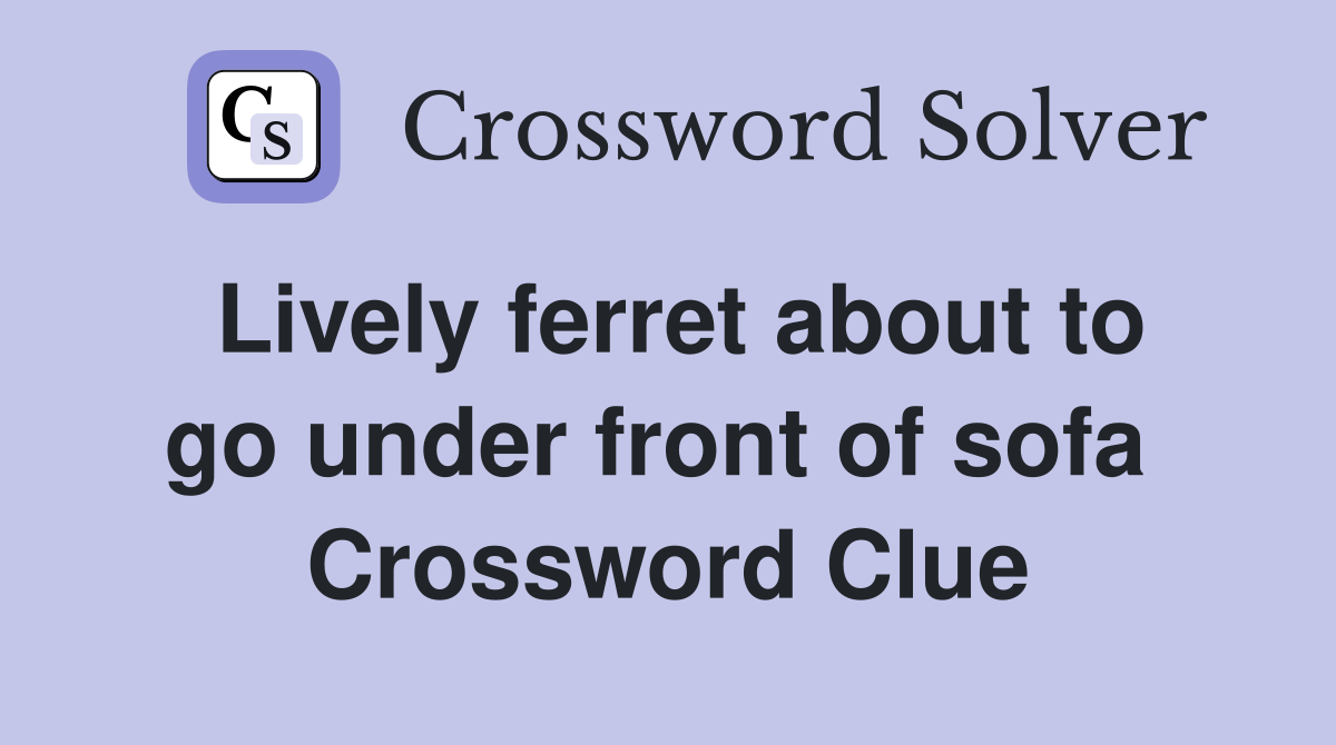 Lively ferret about to go under front of sofa  Crossword Clue