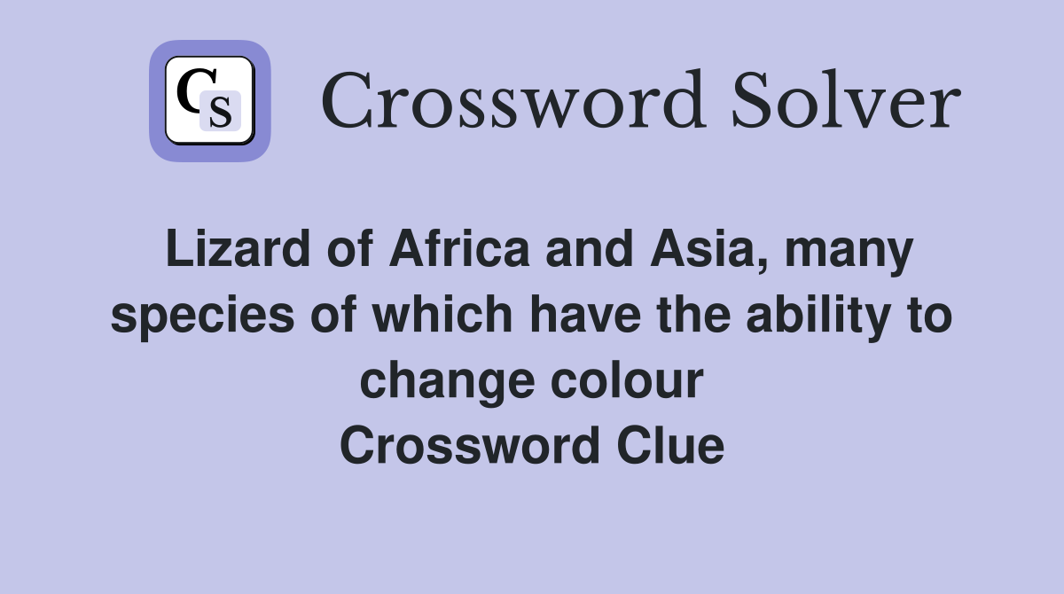 Lizard of Africa and Asia, many species of which have the ability to change colour Crossword Clue