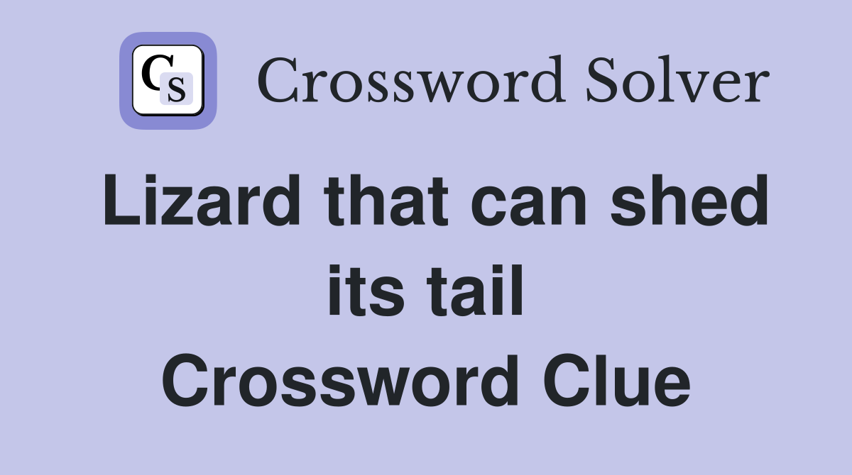Lizard that can shed its tail Crossword Clue