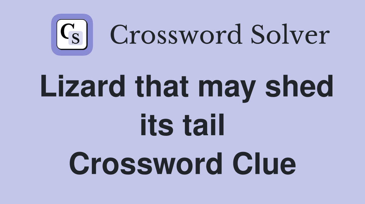 Lizard that may shed its tail Crossword Clue
