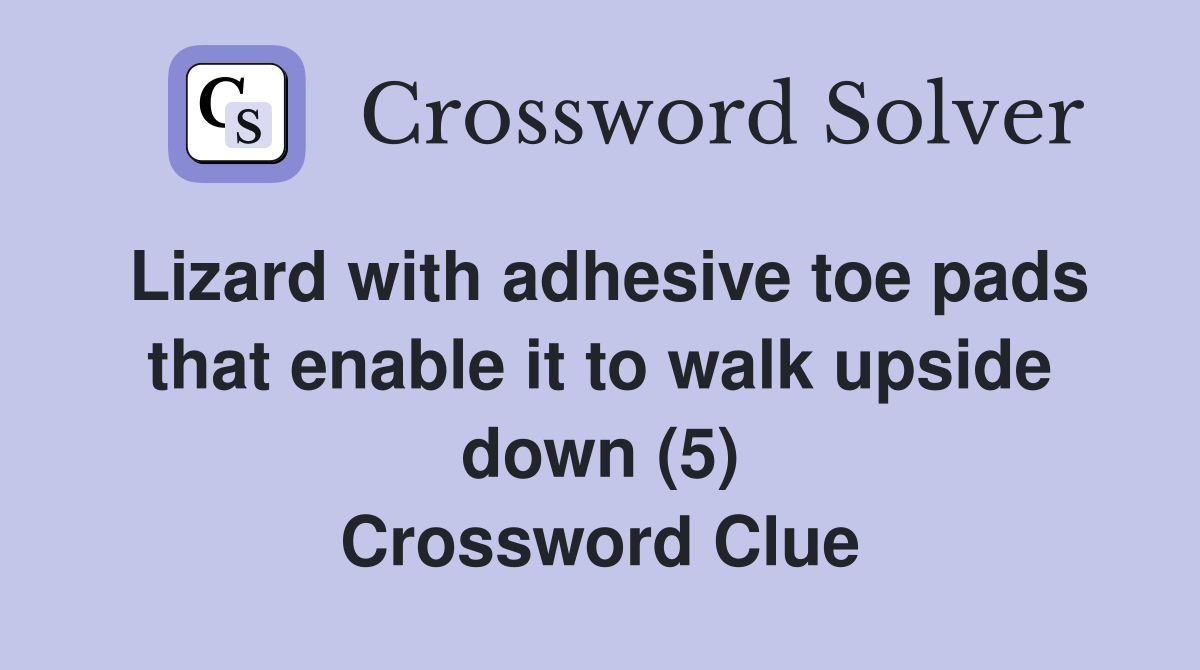 Lizard with adhesive toe pads that enable it to walk upside down (5) Crossword Clue