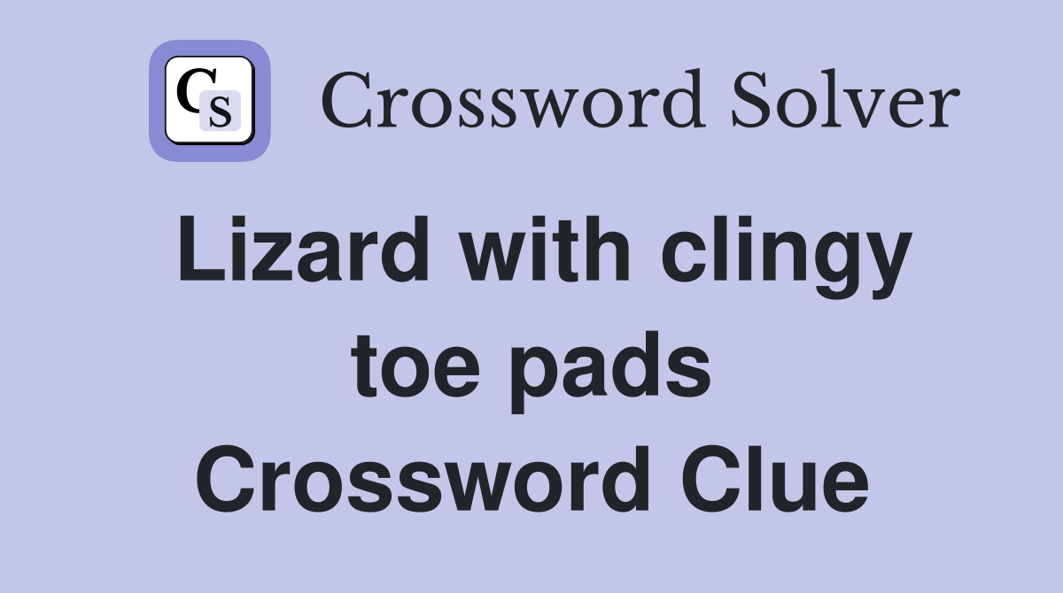 Lizard with clingy toe pads Crossword Clue