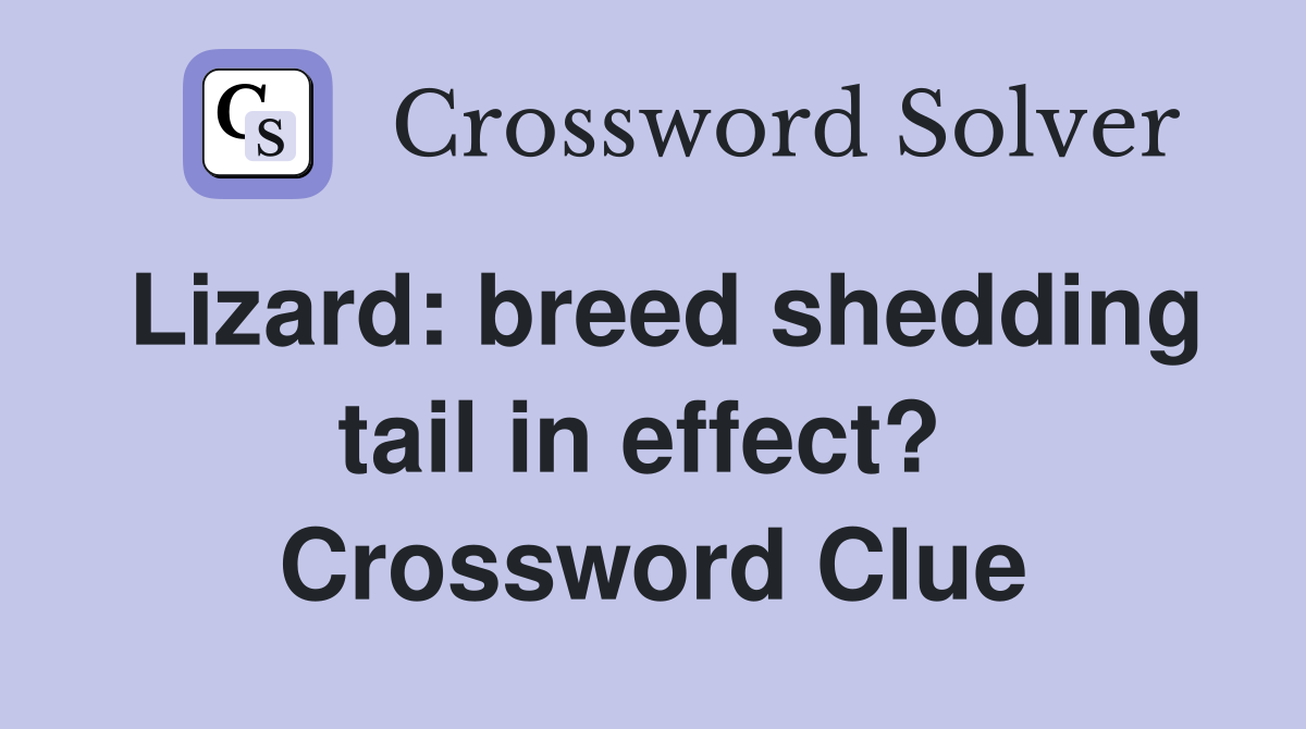 Lizard: breed shedding tail in effect?  Crossword Clue
