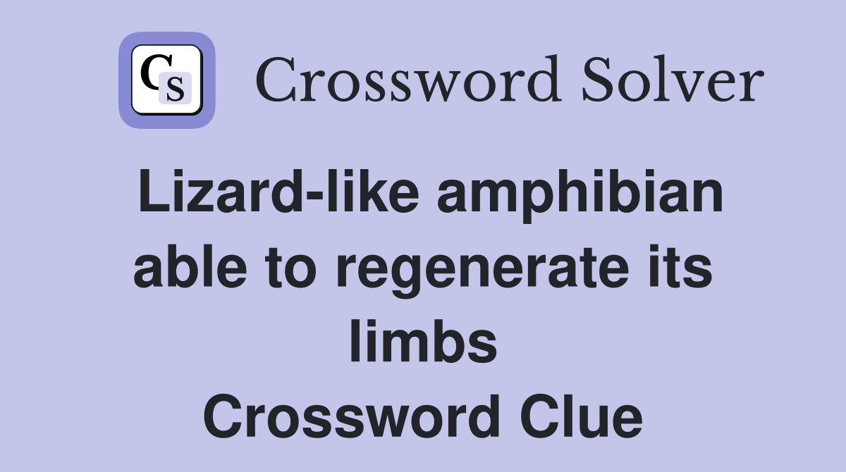 Lizard-like amphibian able to regenerate its limbs Crossword Clue